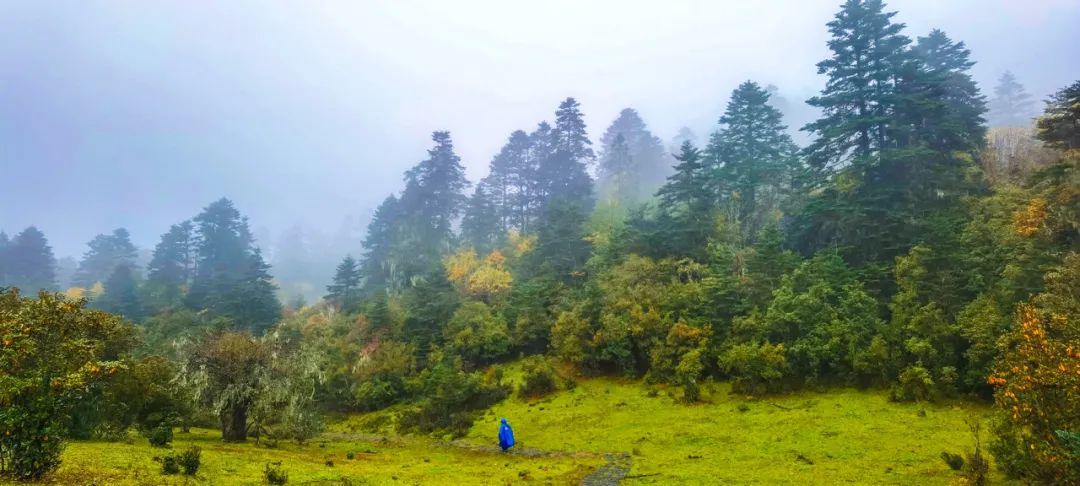 天境怒江,探险公园,一场跨越二十二年的行走
