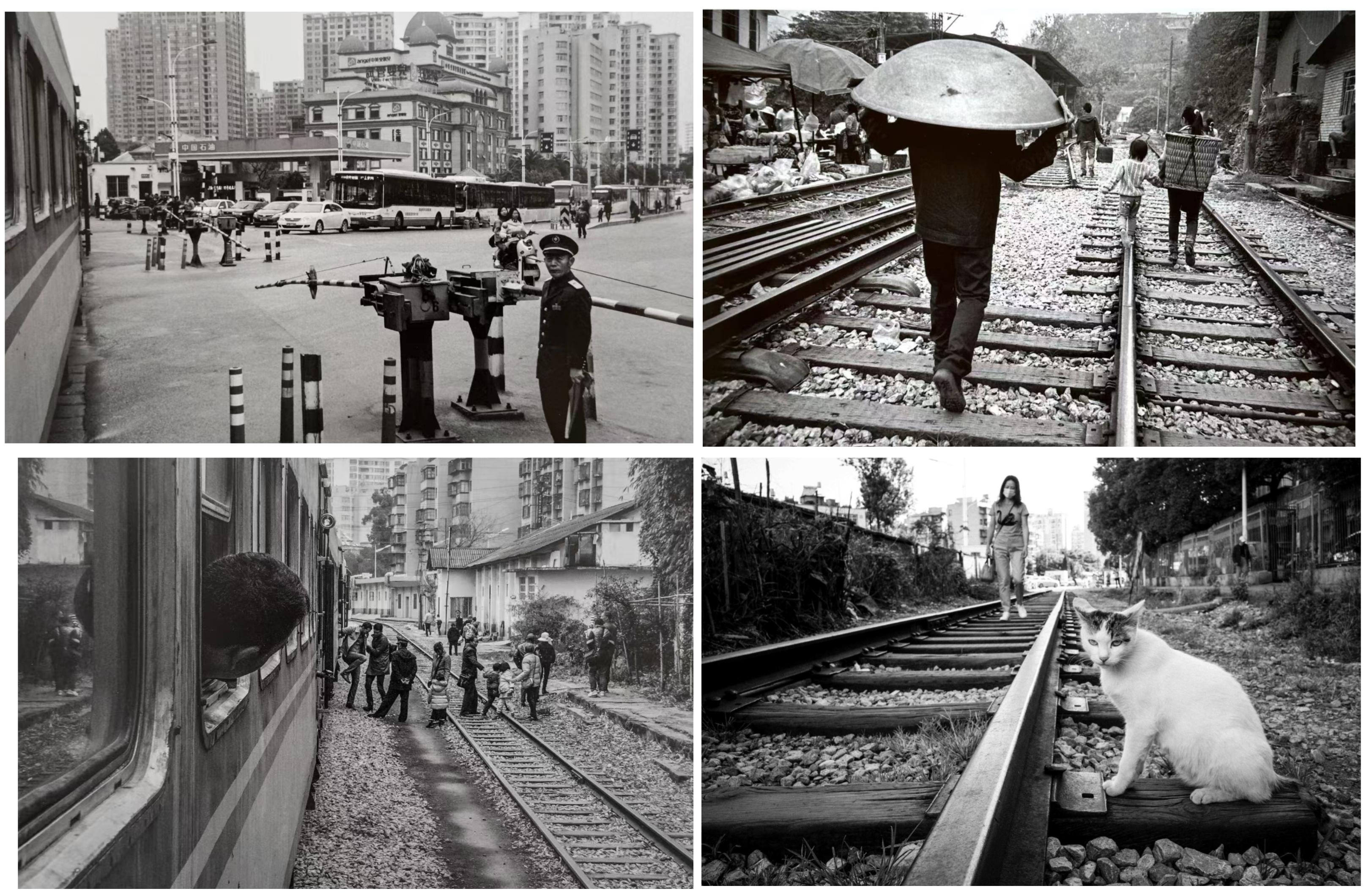 若将中秋对折,一半是月色,一半是秋色