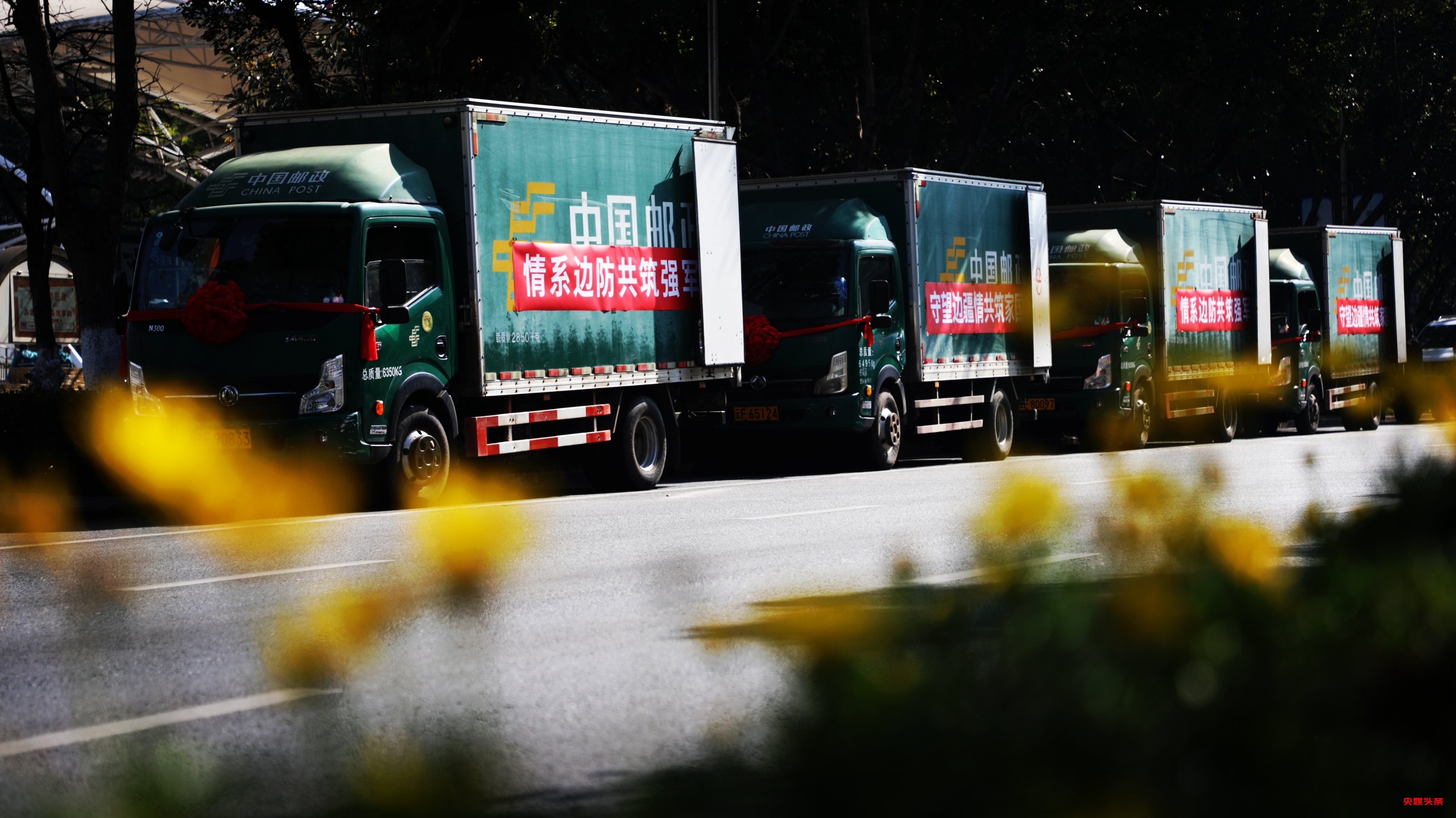 “雪域之花”绽新颜,云南双拥慰问情满高原