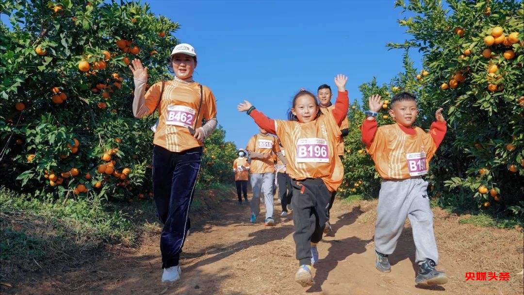 万亩桔香,千人畅跑:2025大理乡愁马拉松年度接力赛宾川站开跑