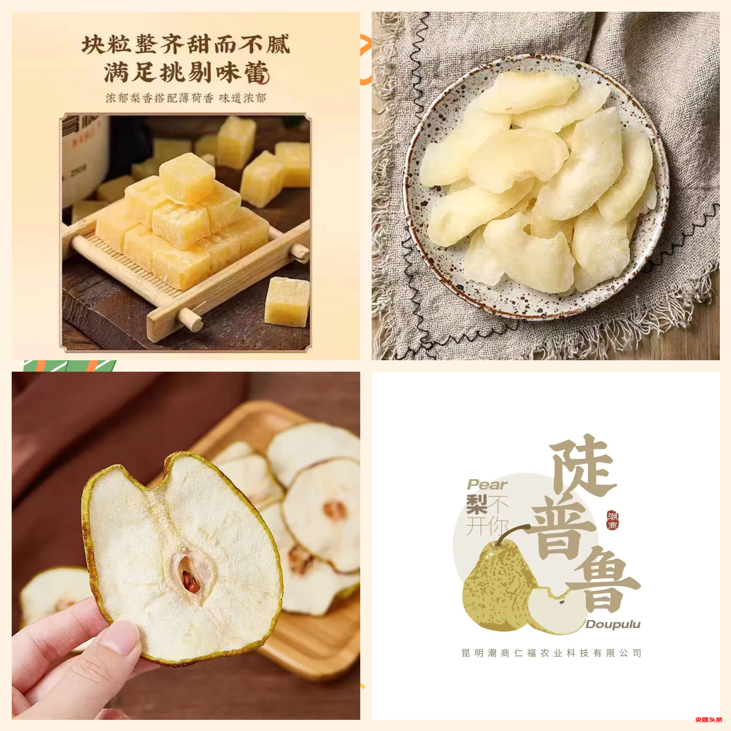 “旅居云南·慢享时光”‖梨花如雪漫西翥,花开五华动春城(上)