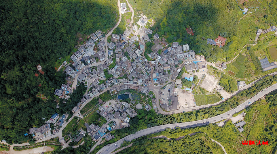 “旅居云南·慢享时光”‖梨花如雪漫西翥,花开五华动春城(下)
