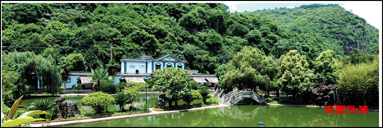 “旅居云南·慢享时光”‖梨花如雪漫西翥,花开五华动春城(下)