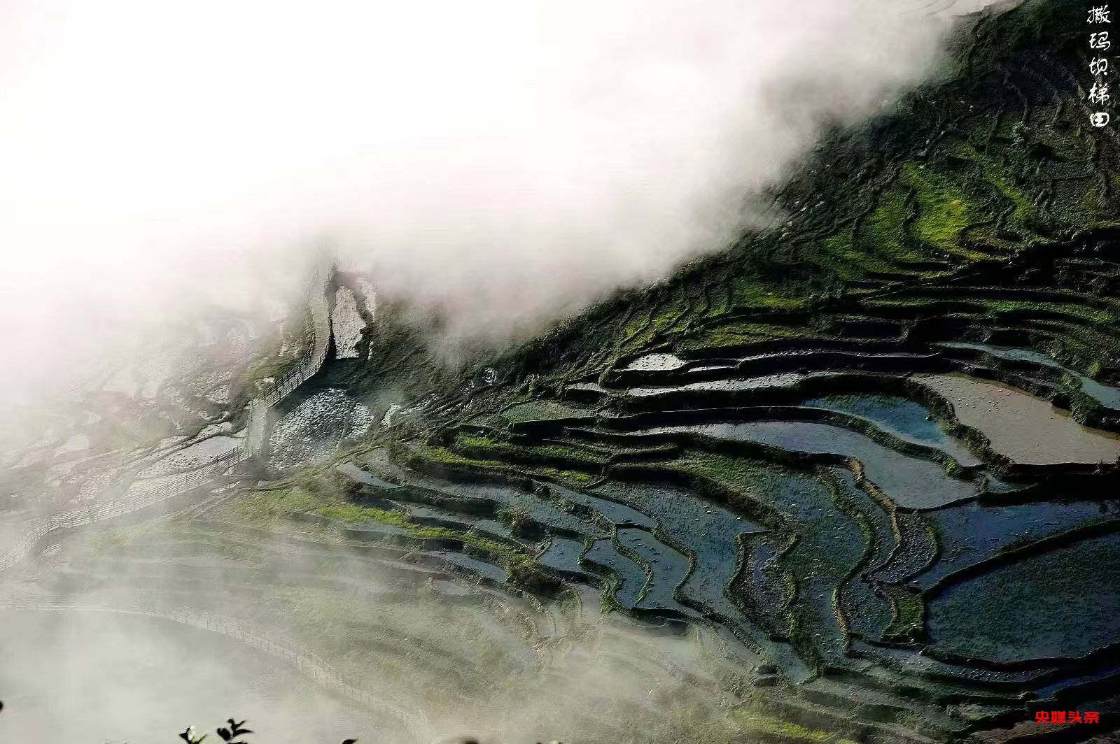 许会生:从草根摄影爱好者到文旅摄影达人的蝶变之路
