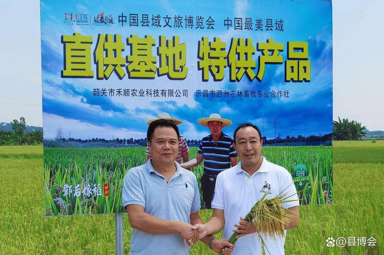 从智库到田埂——邓泗洲多维度赋能产业发展工作实践记录