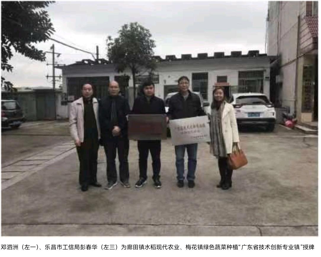 从智库到田埂——邓泗洲多维度赋能产业发展工作实践记录