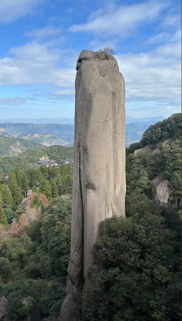 洪紫千:福鼎白茶越老越值钱?