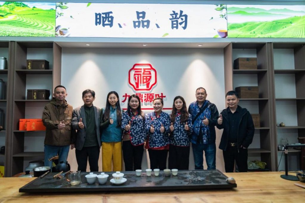 洪紫千:福鼎白茶越老越值钱?