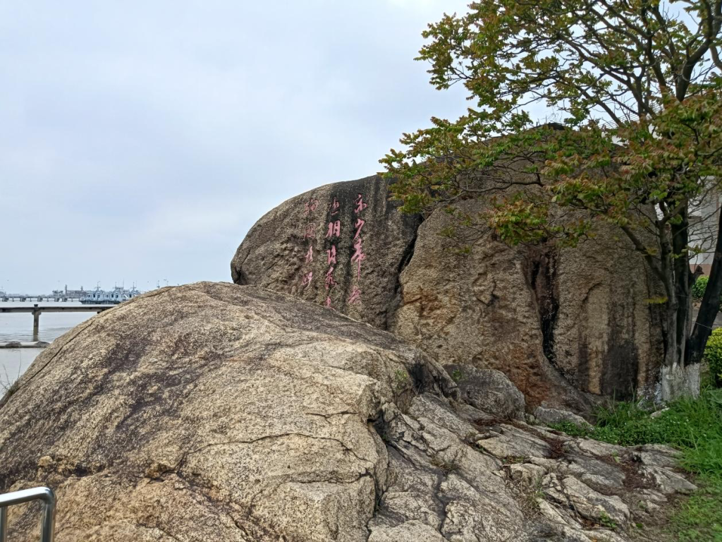 「侨乡风物」银洲湖畔访奇石
