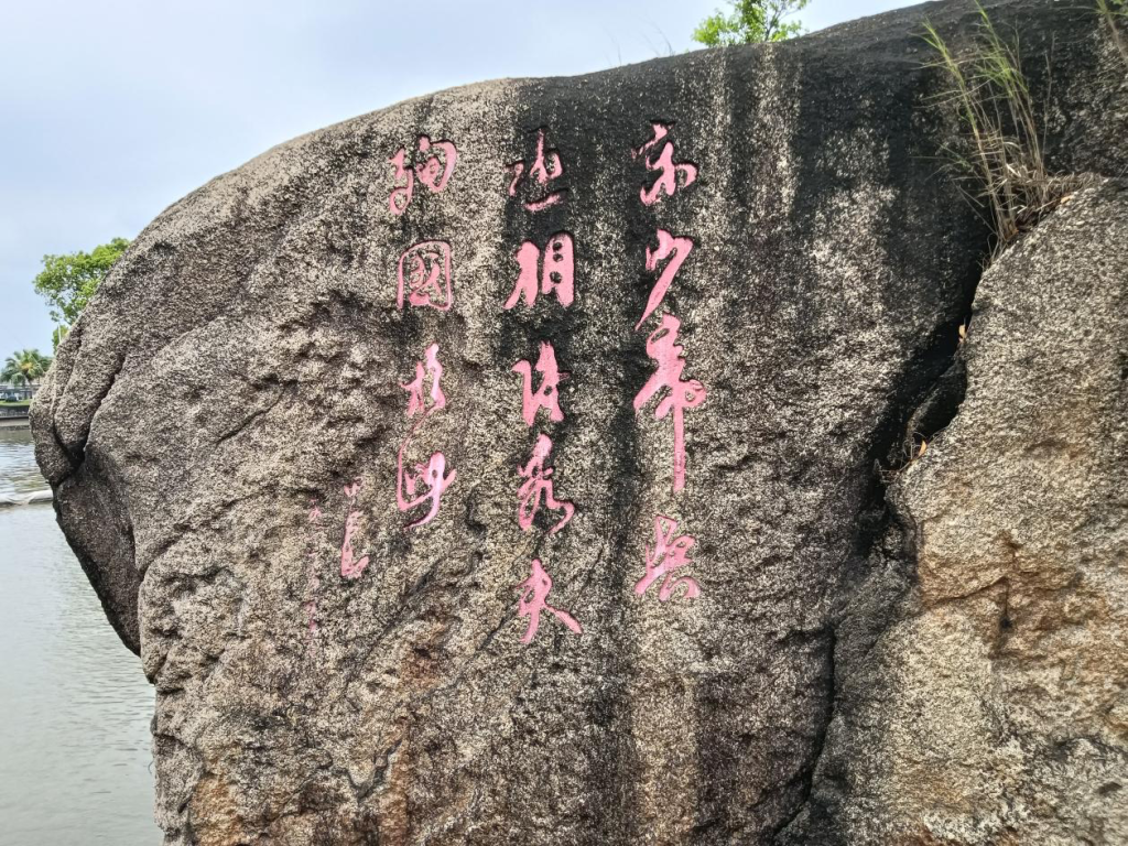 「侨乡风物」银洲湖畔访奇石