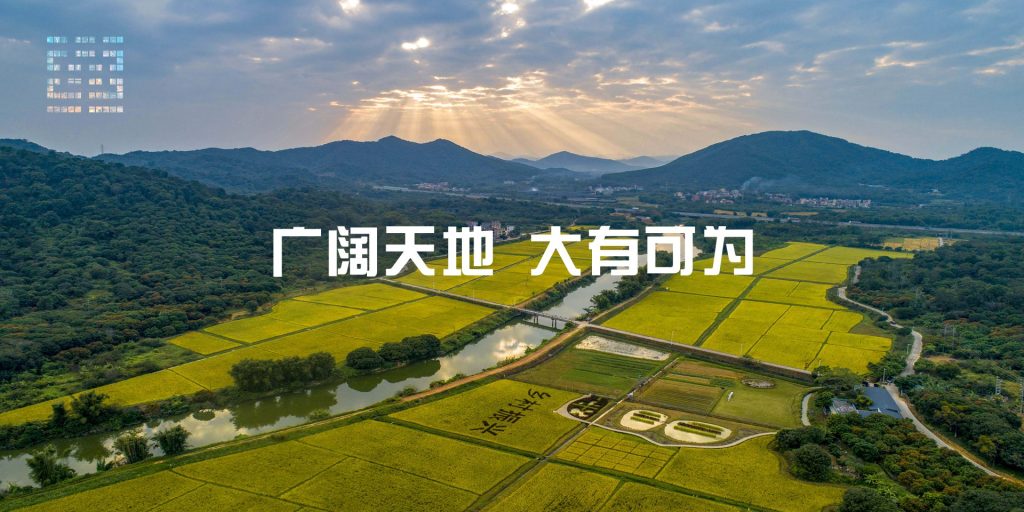 华聚网(华聚头条)分站负责人招募|低门槛入局,共享互联网+乡村振兴新红利