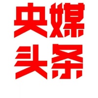 真诚的头像